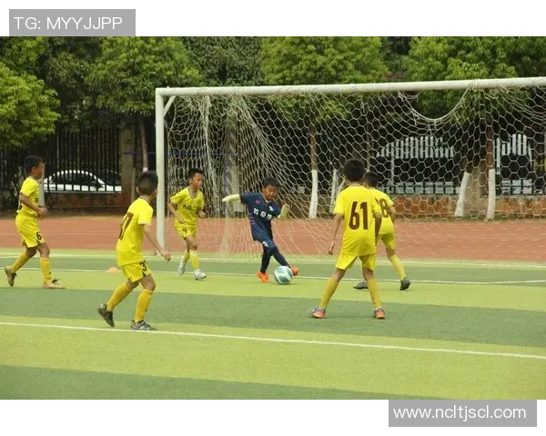 足球违令叫的背后真相与影响分析及其对比赛公正性的影响探讨